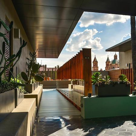 Hotel Criol Querétaro Eksteriør bilde The rooftop garden