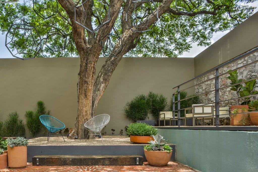 Hotel Criol Querétaro Eksteriør bilde A contemporary garden in Austin, Texas
