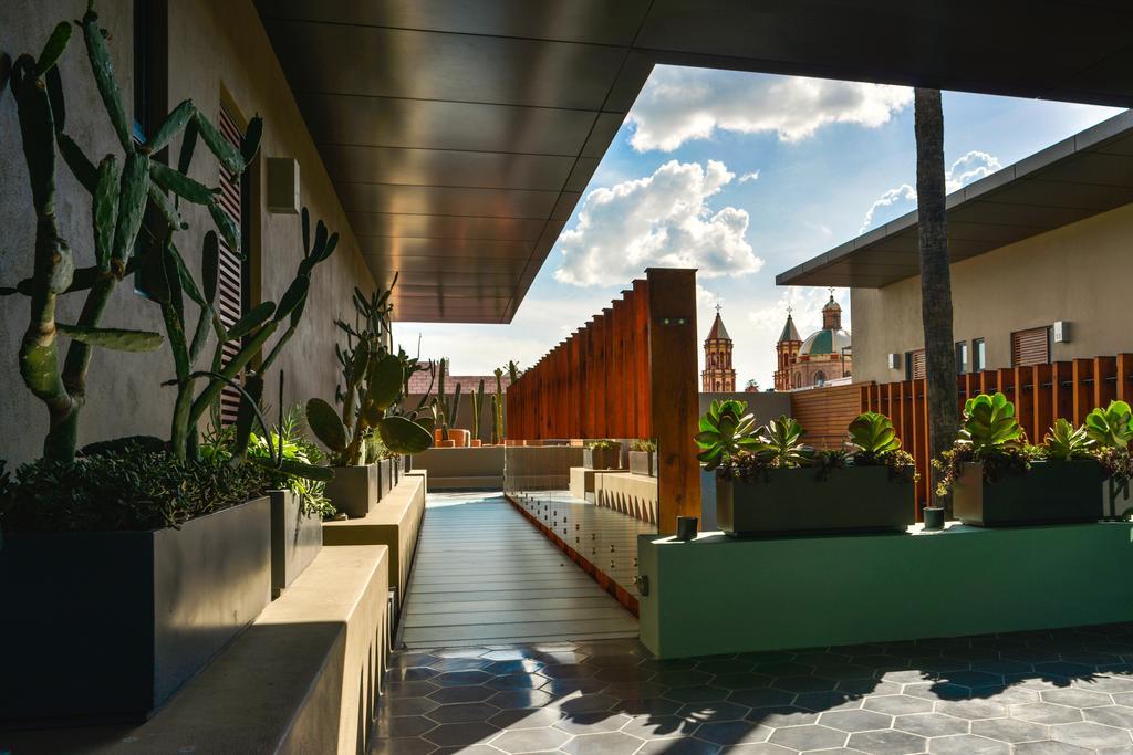 Hotel Criol Querétaro Eksteriør bilde The rooftop garden